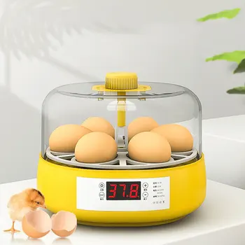 Цифровой инкубатор для яиц, инкубатор на 4/6 яиц, контроль температуры / влажности - Инструмент для фермы цыплят /уток / птиц / голубей